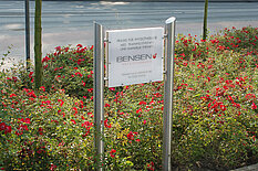 Property signage