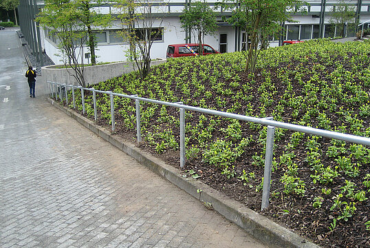 Hand rail Lingen
