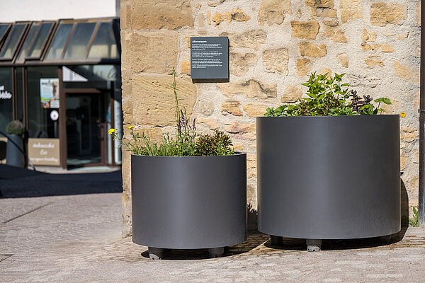 Marbach am Neckar, Marktstraße