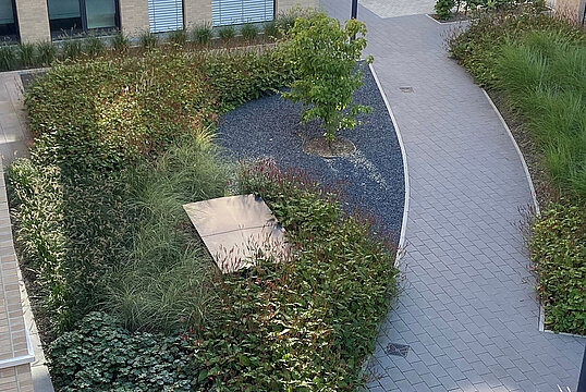 Münster, WSC