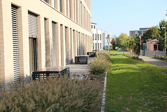 Lüftungshaube Airflow 4-seitig offen