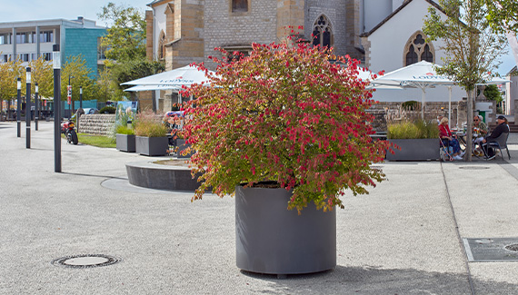 Une ambiance vivante grâce à des jardinières polyvalentes